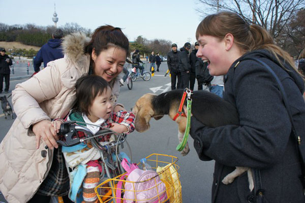 Child and beagles.jpg